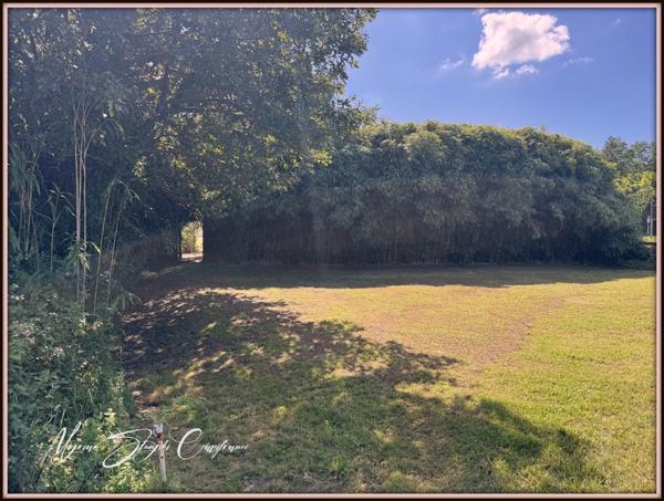 Maison à vendre 3 pièces de 116 m² BENESSE MAREMNE (40) MAISON DE PLAIN-PIED