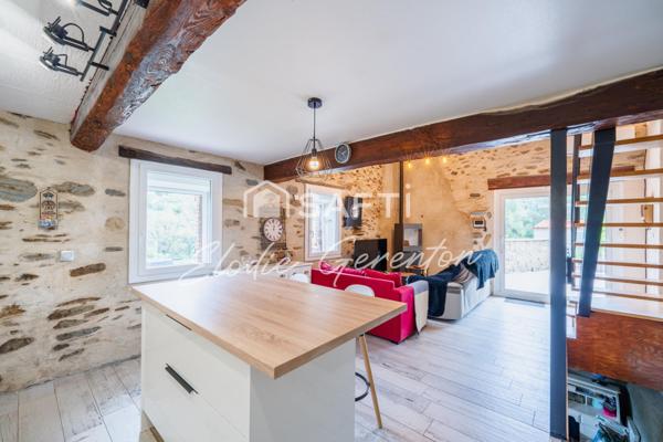 Mas catalan rénové avec piscine