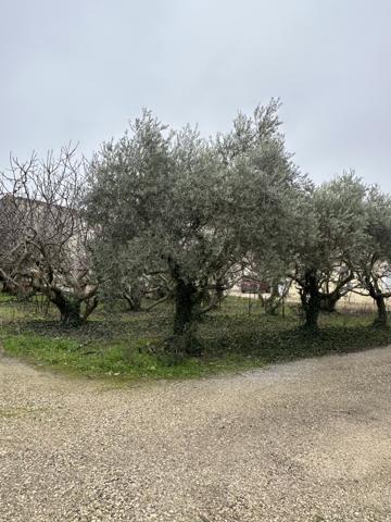 Terrain
        
        - 861 m² 199 500 € *