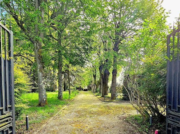 Villeneuve-sur-Lot (47300) Demeure exceptionnelle du XIX eme - 450m² - 10 chambres -piscine - parc de 8000 m² - Villeneuve sur Lot