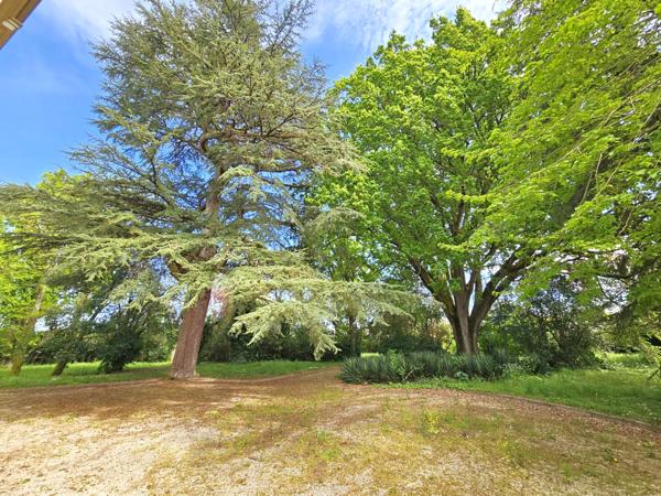 Villeneuve-sur-Lot (47300) Demeure exceptionnelle du XIX eme - 450m² - 10 chambres -piscine - parc de 8000 m² - Villeneuve sur Lot
