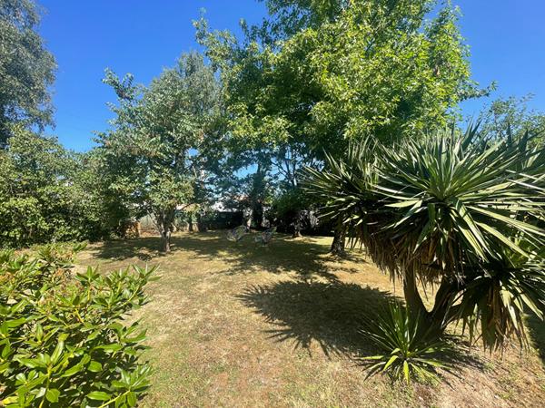 Maison Saint Sebastien Sur Loire 6 pièce(s) 143.4 m2