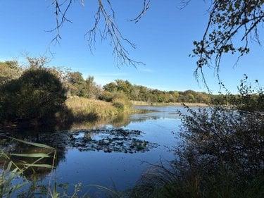 Étang à vendre à Neuillay-les-Bois dans l'Indre (36500), ref : 037/2637