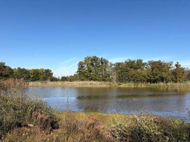 Étang à vendre à Neuillay-les-Bois dans l'Indre (36500), ref : 037/2637