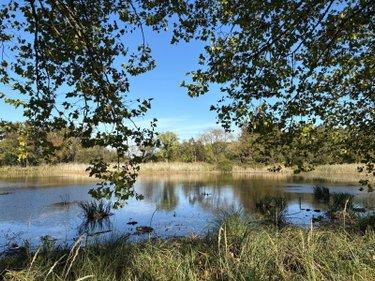 Étang à vendre à Neuillay-les-Bois dans l'Indre (36500), ref : 037/2637