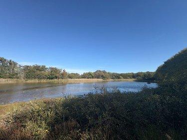 Étang à vendre à Neuillay-les-Bois dans l'Indre (36500), ref : 037/2637
