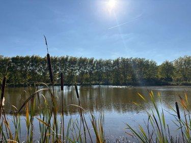 Étang à vendre à Neuillay-les-Bois dans l'Indre (36500), ref : 037/2637