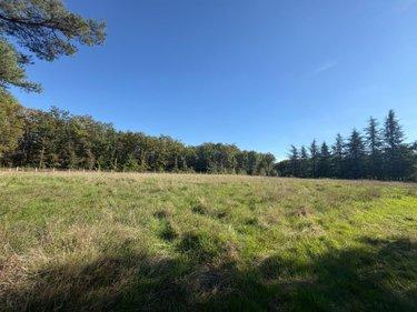 Étang à vendre à Neuillay-les-Bois dans l'Indre (36500), ref : 037/2637
