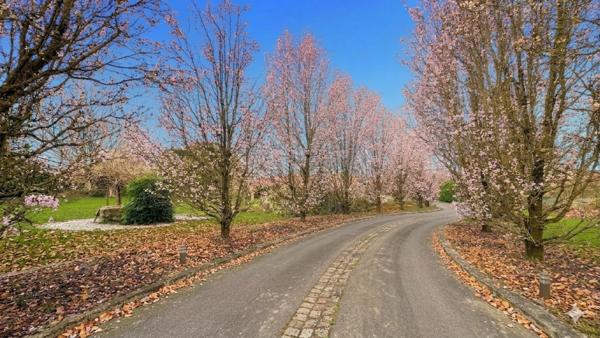 Maisons à vendre À Tonnay-Charente – Ensemble immobilier avec gîte indépendant sur parc arboré de 4 673 m²