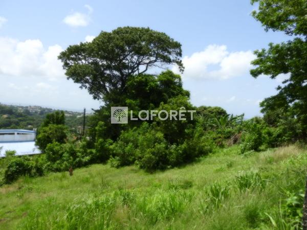 Achat terrain Fort-de-France - 1173 m² - 175 000 €