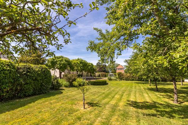 Maison Villefranche Sur Cher 12 pièce(s) 291.5 m2