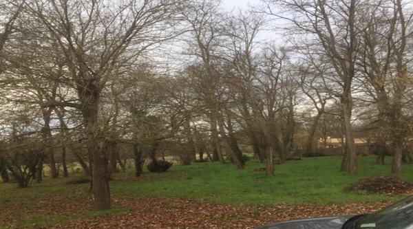 Fourques sur Garonne – Villa de plain-pied de 79 m² dans environnement calme à rafraîchir