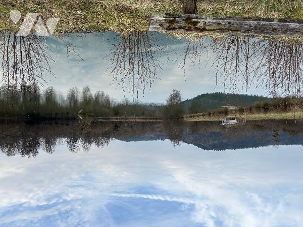 Un parc entièrement clôturé  d’une surface totale de 5 ha 53 a 75 ca avec un mobil-homes.