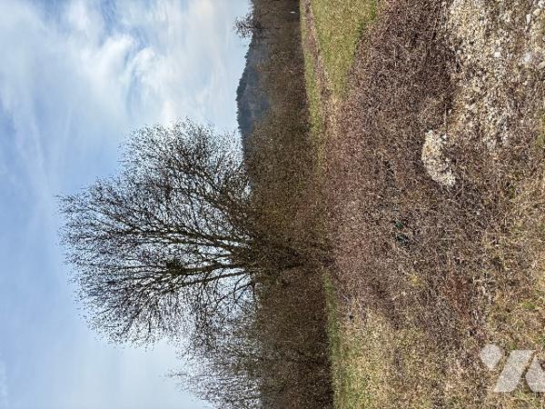 Un parc entièrement clôturé  d’une surface totale de 5 ha 53 a 75 ca avec un mobil-homes.