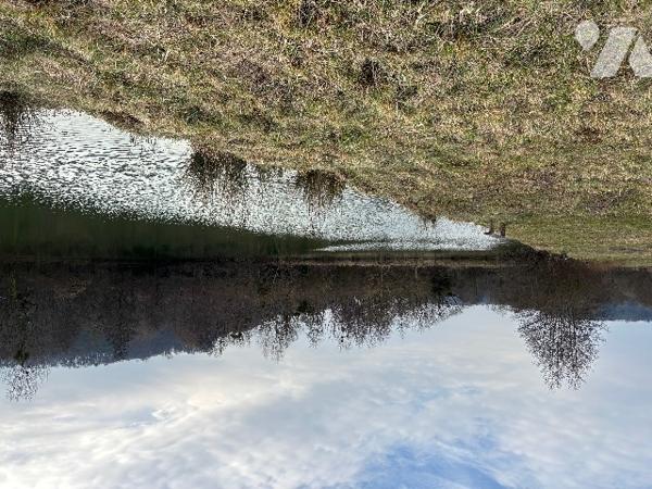 Un parc entièrement clôturé  d’une surface totale de 5 ha 53 a 75 ca avec un mobil-homes.