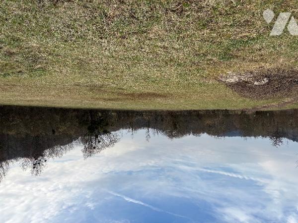 Un parc entièrement clôturé  d’une surface totale de 5 ha 53 a 75 ca avec un mobil-homes.