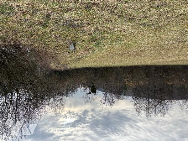 Un parc entièrement clôturé  d’une surface totale de 5 ha 53 a 75 ca avec un mobil-homes.