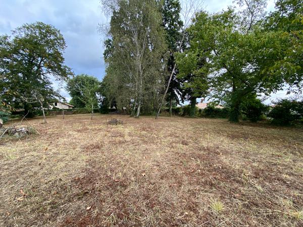 A Vendre Terrain constructible à Hinx