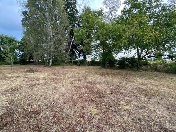 A Vendre Terrain constructible à Hinx