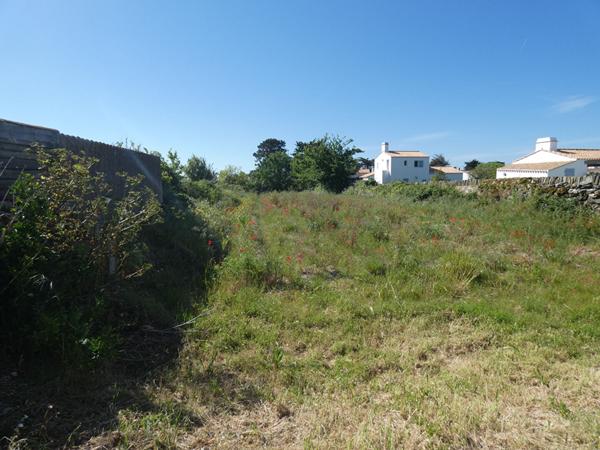 Terrain Noirmoutier En L'ile
