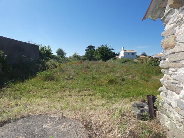 Terrain Noirmoutier En L'ile