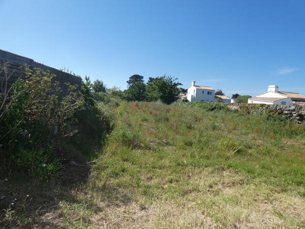 Terrain Noirmoutier En L'ile