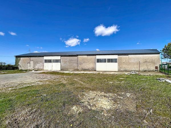 Local d'activité Montilliers