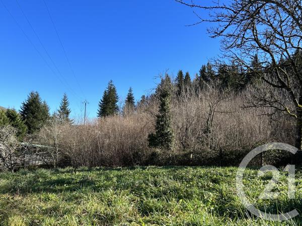 Maison à vendre  3 pièces - 119 m2 FREYCHENET - 09