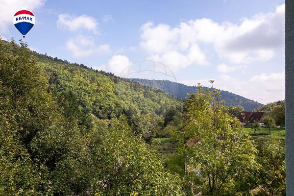 Maison  en vente - Haut-Rhin - 68