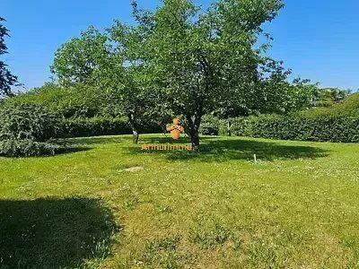 Vente                                                      Terrain
                        
                                         1042 m2                     à Barbazan-Dessus