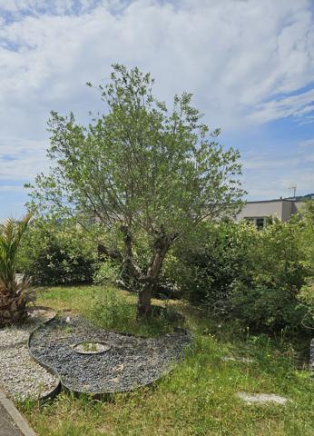 Maison contemporaine récente 110 m² 4 chambres, Pollionnay centre village