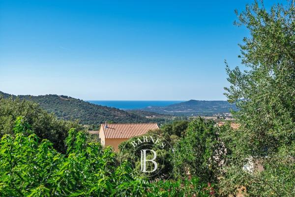 Calvi, Maison 5 Chambres -  231 m² à vendre