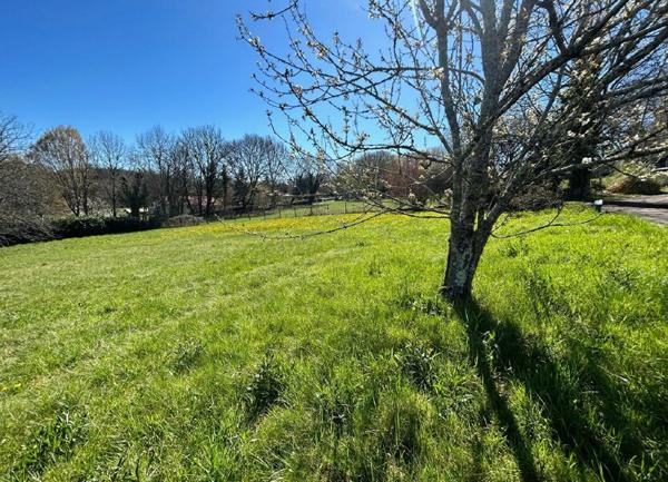 Terrain à vendre    Trélissac