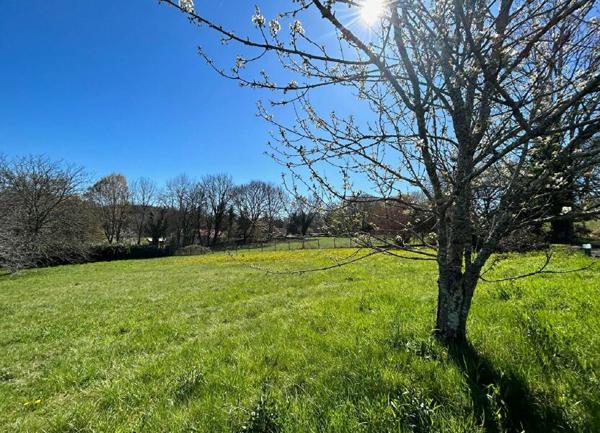 Terrain à vendre    Trélissac