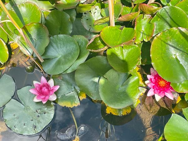 Maison de charme Thenisy 5 pièces ancien presbytère campagne vallonnée et pittoresque
