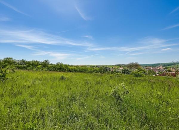 TERRAIN CONSTRUCTIBLE - 25 MIN de DIJON