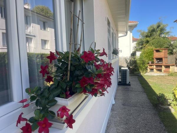 Vente / Maison de plain-pied à Pau (64000)