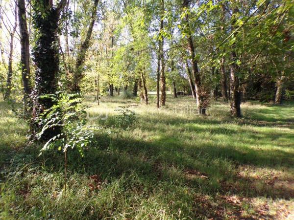 Lotissement de 1 530 m²