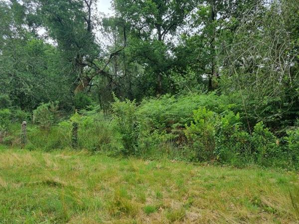 Terrain 307 800 € Gujan-Mestras 560 m² DPE