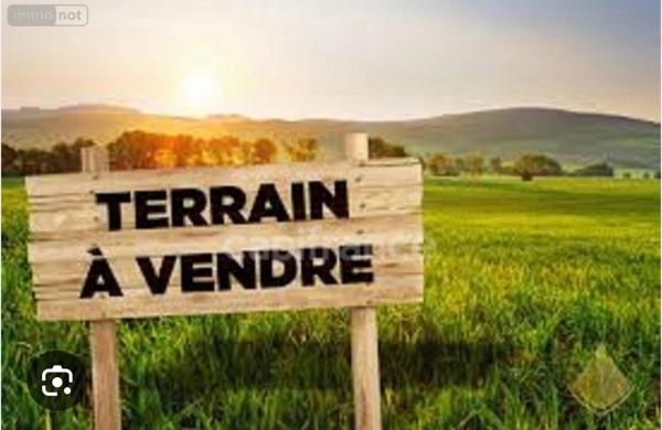 Terrain à vendre RAURET (43), terrain de 3990 m² de type pâture