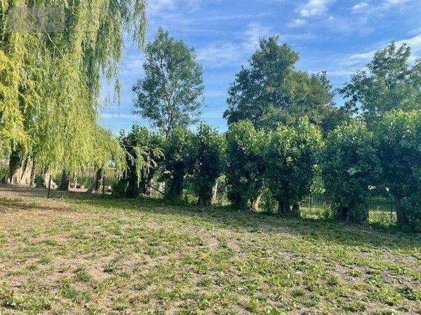 Terrain à Batir à vendre à Laventie dans le Pas-de-Calais (62840), ref : 12980/1568