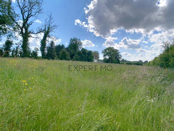 Le Mesnil-Auzouf (14260) UN HERBAGE POUR VOS CHEVAUX !