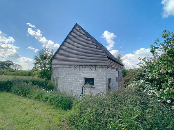 Le Mesnil-Auzouf (14260) UN HERBAGE POUR VOS CHEVAUX !