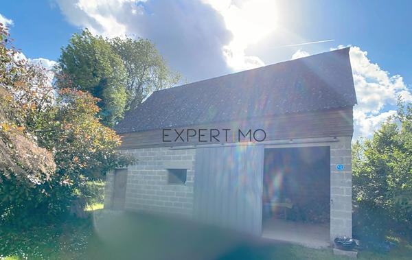 Le Mesnil-Auzouf (14260) UN HERBAGE POUR VOS CHEVAUX !