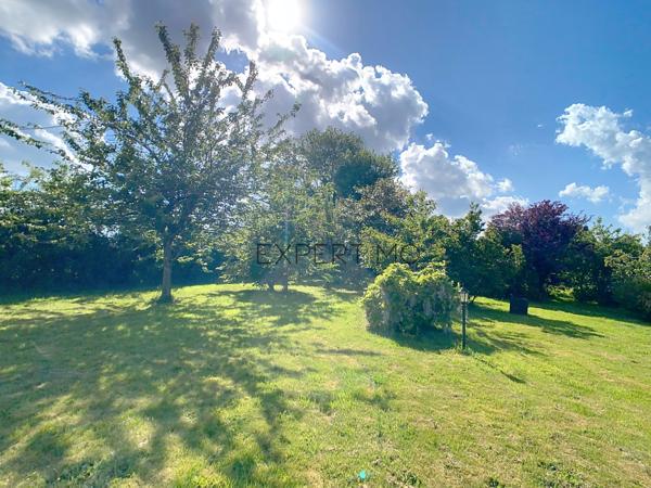 Le Mesnil-Auzouf (14260) UN HERBAGE POUR VOS CHEVAUX !