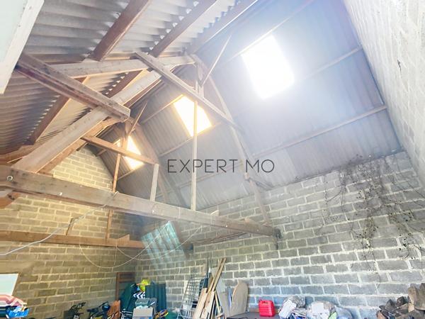 Le Mesnil-Auzouf (14260) UN HERBAGE POUR VOS CHEVAUX !