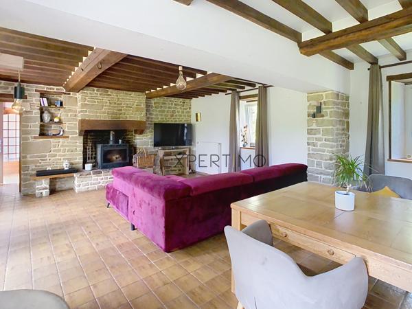 Le Mesnil-Auzouf (14260) UN HERBAGE POUR VOS CHEVAUX !