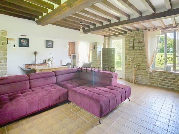 Le Mesnil-Auzouf (14260) UN HERBAGE POUR VOS CHEVAUX !