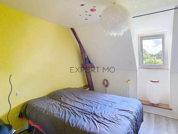 Le Mesnil-Auzouf (14260) UN HERBAGE POUR VOS CHEVAUX !