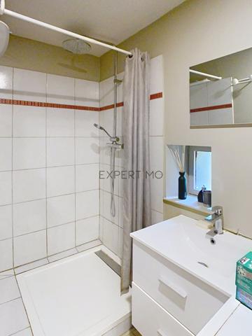 Le Mesnil-Auzouf (14260) UN HERBAGE POUR VOS CHEVAUX !